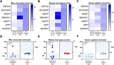 TRPV4 mRNA is elevated in the caudate nucleus with NPH but not in Alzheimer’s disease